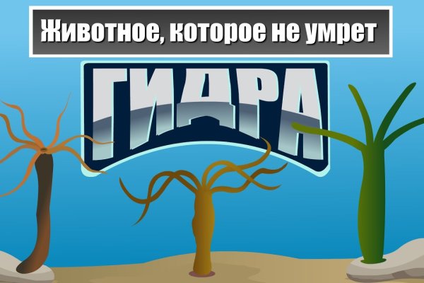 Найдется все kraken 2krn cc